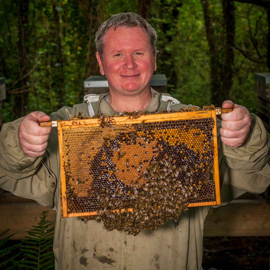 Beekeeper inspecting frame of Honey