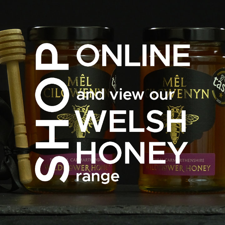 Raw Welsh Honey | Shop online and view our Welsh honey range