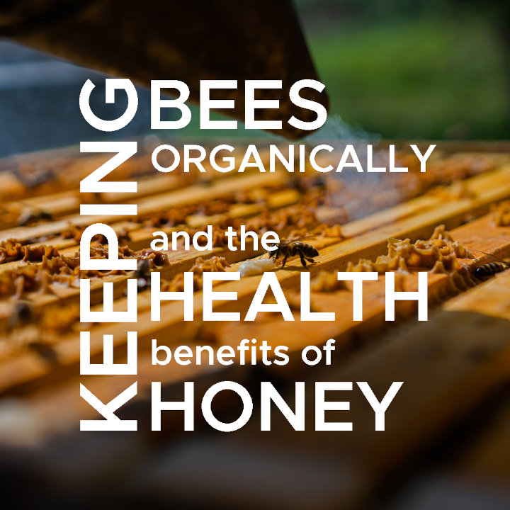 Raw Welsh Honey | Healthiest honey and organic honey