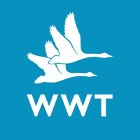WWT Wetlands Centre Llanelli loading=